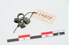 Foto von Bronzeringperle (NHMW-PRAE-024927)
